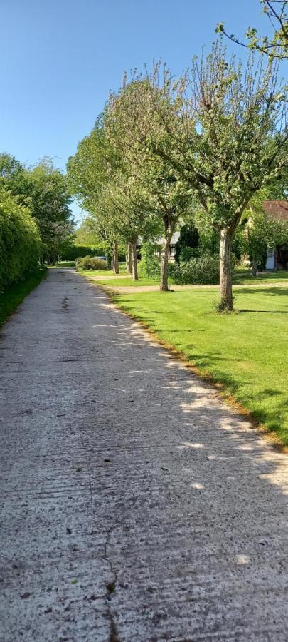 Bed and Breakfast La Ferme Aux Canards Sassetot-le-Mauconduit Exterior foto